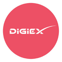 DigiEx Group logo - Similar company to Wata Tech - Software Development
