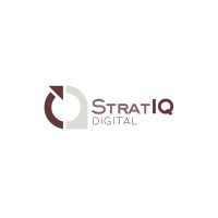 StratIQ Digital logo - Similar company to Meta Master