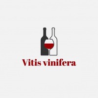 Vitis Vinifera - Iae Lyon