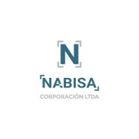 NABISA Corporación Ltda. logo - Similar company to Globallines