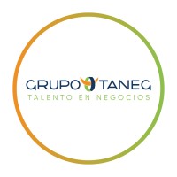 Grupo Taneg logo - Similar company to Bizsolvers