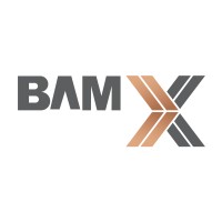 BAMX logo - Similar company to A N K A Information Technology  - A Westzone Group Company