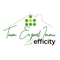 Team Expert Immo logo - Similar company to Sofo Insights - Formations Et Certifications Discflow