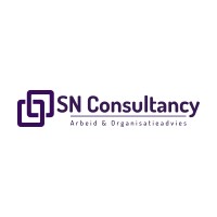 SN Consultancy logo - Similar company to Sn Web Consultancy