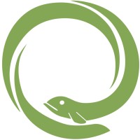 ANGUILA logo - Similar company to Anguila