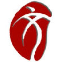 South Coast Chinese Cultural Association