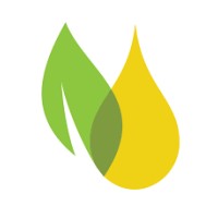 Ananda Pure logo - Similar company to J&K Peace Foundation