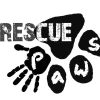 Rescue Paws logo - Similar company to Asia Wild