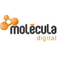 Molecula Digital Interactive Marketing