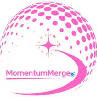 MomentumMerge Consultancy Services Pvt, Ltd. logo - Similar company to Sentienz