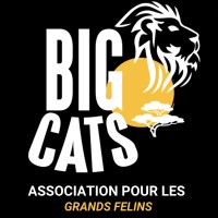 Big Cats France logo - Similar company to Grif - Groupe De Réflexion Et D'Intérêt Félin