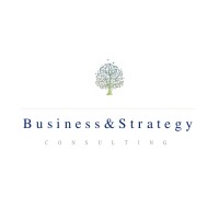 Business & Strategy Consulting SPRL logo - Similar company to Black Cherry Business & Consulting