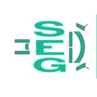 Junta Directiva Sociedad Española de Glaucoma logo - Similar company to Visiõnclinic