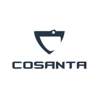 CosantaNet logo - Similar company to Softesis Inc. The Business-Minded Teams Provider