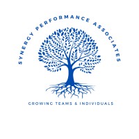 Synergy Performance Associates