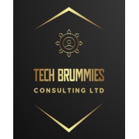 Tech Brummies Consulting Ltd logo - Similar company to Oasis Tech Ltd