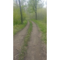 Pathways To Connection