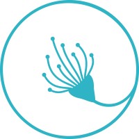 The Northwest Psychology Practice logo - Similar company to Mind Plasticity