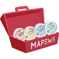 MAP Strategic Workforce Services (MAPSWS) logo - Similar company to Unb College Of Extended Learning