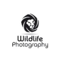 Wildlife Photography logo - Similar company to Energetic Byz Plus