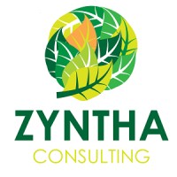 Zyntha Consulting (Pty) Ltd logo - Similar company to Cm Eclectic