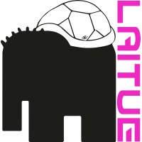 LAITUE logo - Similar company to Digy Comm