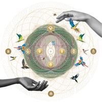 The Weave logo - Similar company to Solve Earth