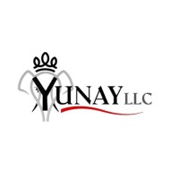 YUNAY LLC logo - Similar company to Yunay Consultancy Services
