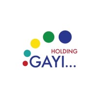 HOLDING GAYI logo - Similar company to Egesc