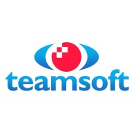 Teamsoft logo - Similar company to Teamsoft Inc.