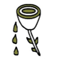 Boston Perfumery logo - Similar company to Sheack Perfume
