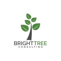 BrightTree Consulting LLC