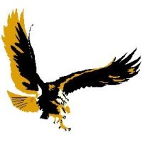 Phoenix Search logo - Similar company to Frontline Workforce