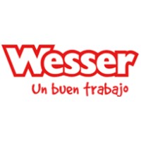 Wesser and Partner logo - Similar company to Etsii-Consulting
