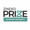 Zindigi Prize | Superior University logo - Similar company to Mammodetect.Ai
