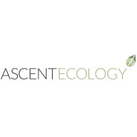 Ascent Ecology | Environmental Consultancy logo - Similar company to Better World Group