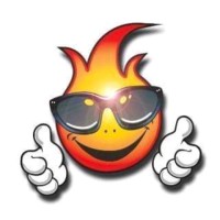 Multiservicios Maxifuego SL logo - Similar company to Firext