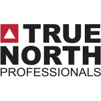 True North Professionals logo - Similar company to Tier Support Services