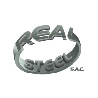 Real Steel logo - Similar company to Intelem