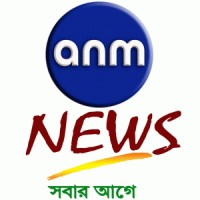 ANM News PVT LTD logo - Similar company to Thebollywoodlive.Com