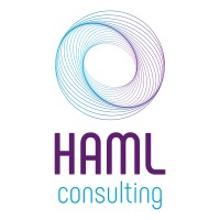 HAML Consulting logo - Similar company to Mobius Next