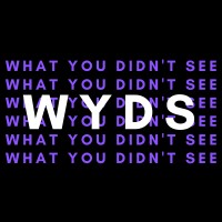 What You Didn't See logo - Similar company to Influent Language Immersion