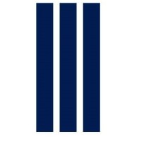 Palacios - Martínez logo - Similar company to Valpacífico Casa De Valores