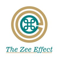 The Zee Effect logo - Similar company to Precisionpulse Analytics