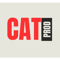 CatProductions logo - Similar company to Dutch Design