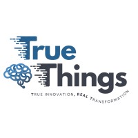 TrueThings logo - Similar company to E-Services