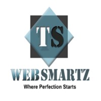 T S Web Smartz logo - Similar company to Tech Healers