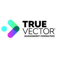 True Vector Management Consulting logo - Similar company to Dang Designs, Inc.