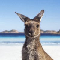 Australia