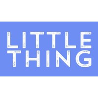 Little Thing logo - Similar company to Little Thing That'S Cute
